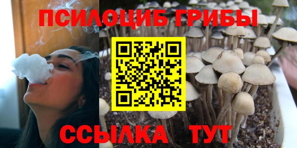 Грязи  Галлюциногенные грибы GOLDEN TEACHER  Вход с VPN 